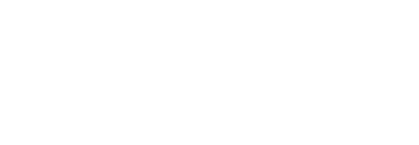 Ann Louise Peiss Logo